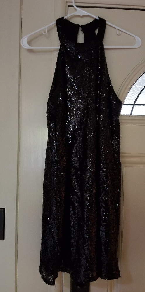 Holiday Sequin Dress